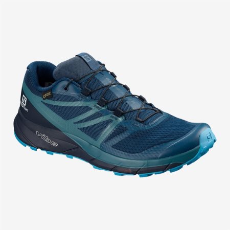 Salomon SENSE RIDE 2 GTX INVISIBLE FIT Mens Trail Running Shoes Blue UK VHRA